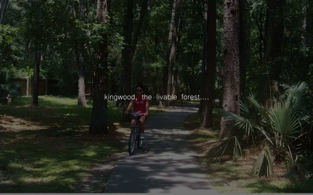 kingwood_forest